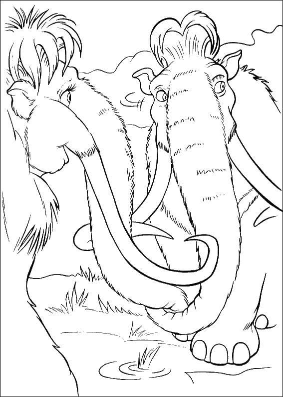 Coloring Manny with his beloved. Category ice age. Tags:  Glacial period, cartoon.