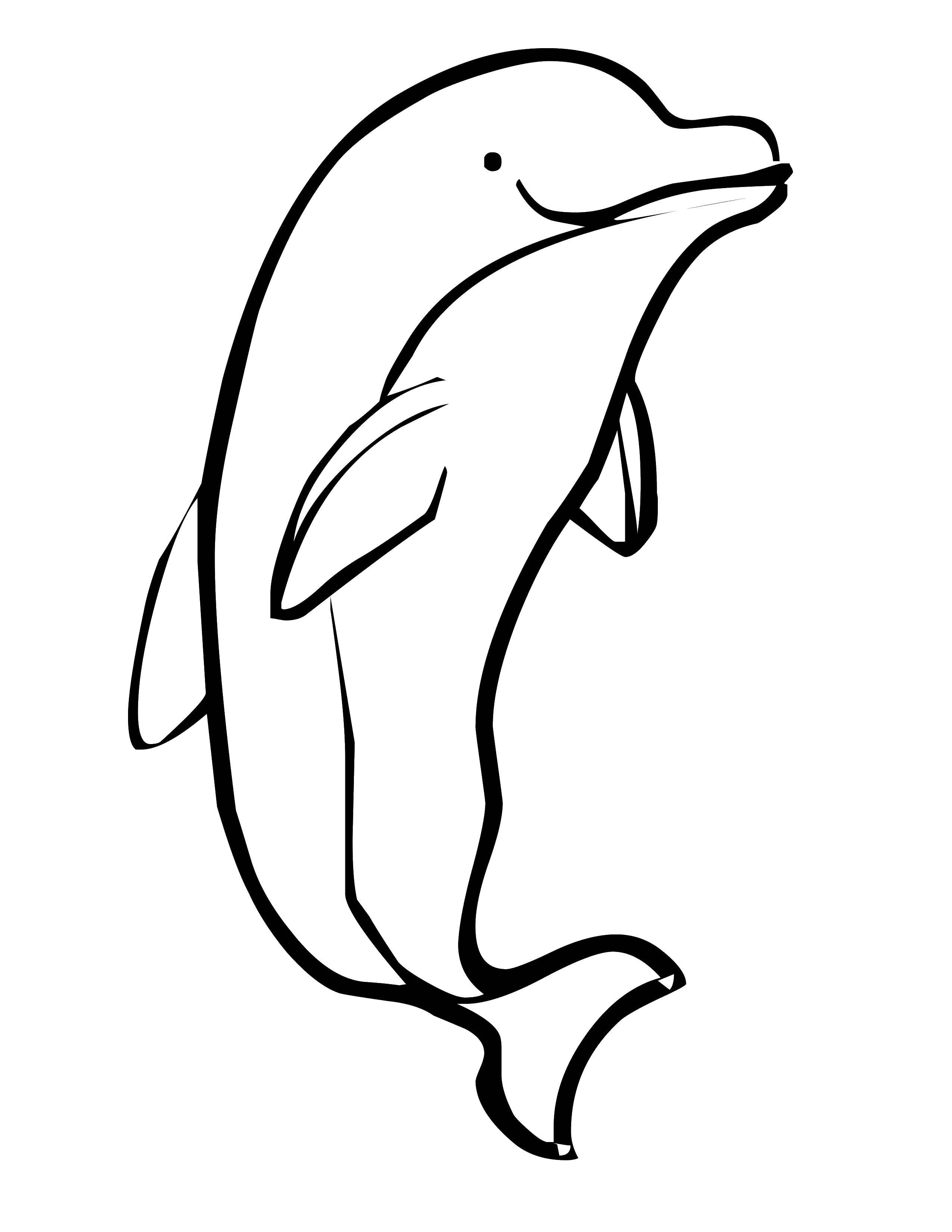 Название: Раскраска Милашка дельфин.. Категория: морское. Теги: Подводный мир, дельфин.
