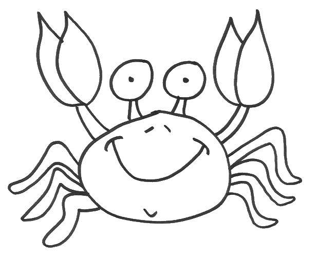 Coloring Cute crab. Category Crab. Tags:  sea animals, animals, crabs.