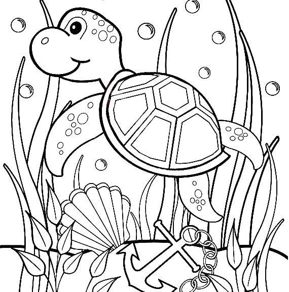 Название: Раскраска Морская черепашка плавает у водорослей. Категория: Черепаха. Теги: Рептилия, черепаха.