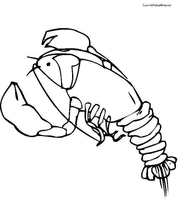 Coloring Maritime lobster. Category coloring. Tags:  marine animals, crustaceans, lobster.