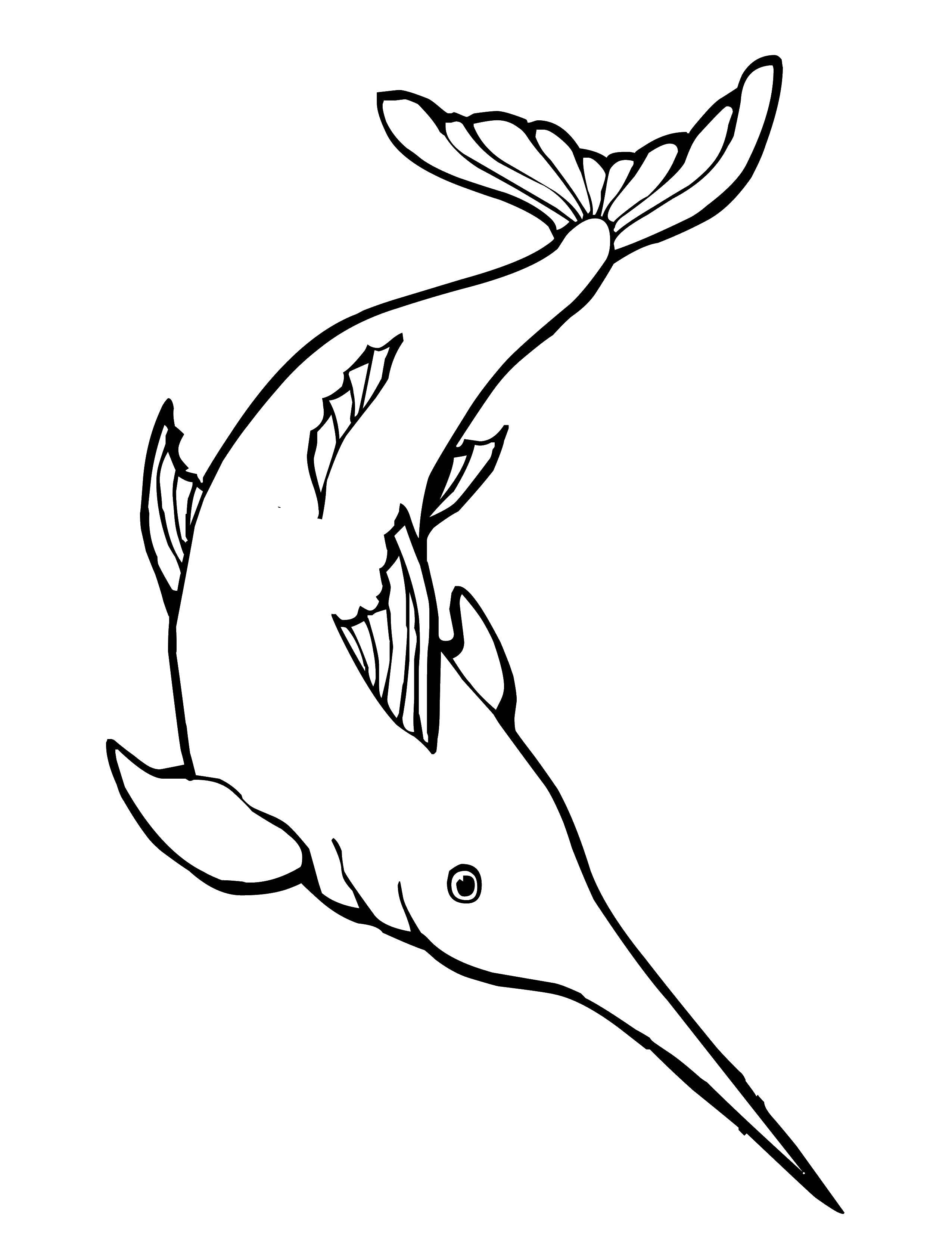 Название: Раскраска Острый меч рыбы. Категория: раскраски. Теги: Подводный мир, рыба.
