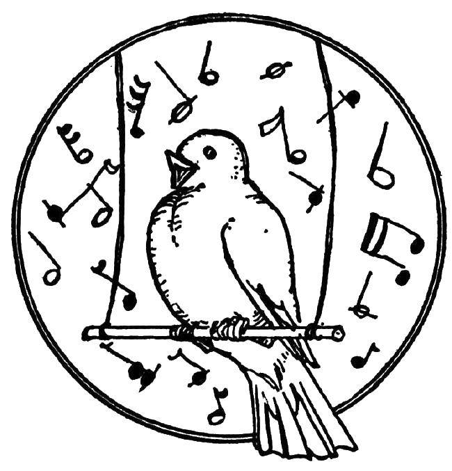 Coloring Singing bird. Category birds. Tags:  Birds.