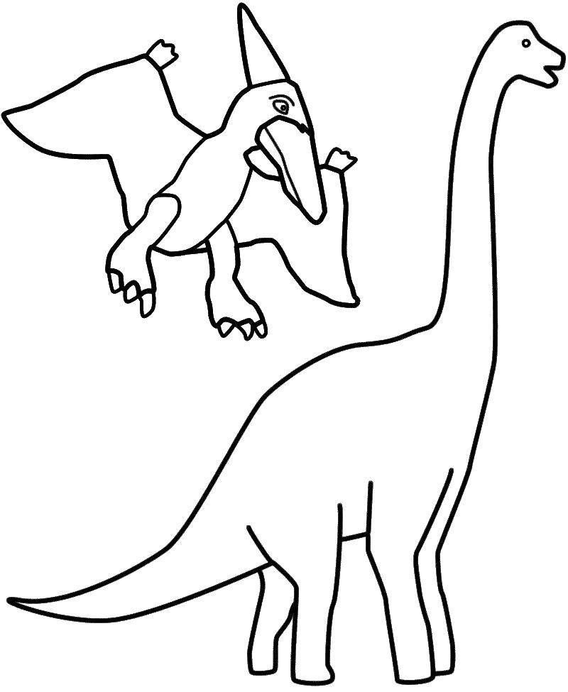 Название: Раскраска Птеранодон и бронтозавр. Категория: динозавр. Теги: Динозавры.
