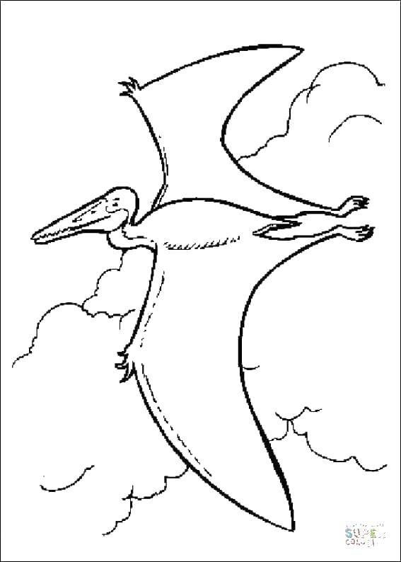 Coloring The Pteranodon in the clouds. Category dinosaur. Tags:  Dinosaurs.