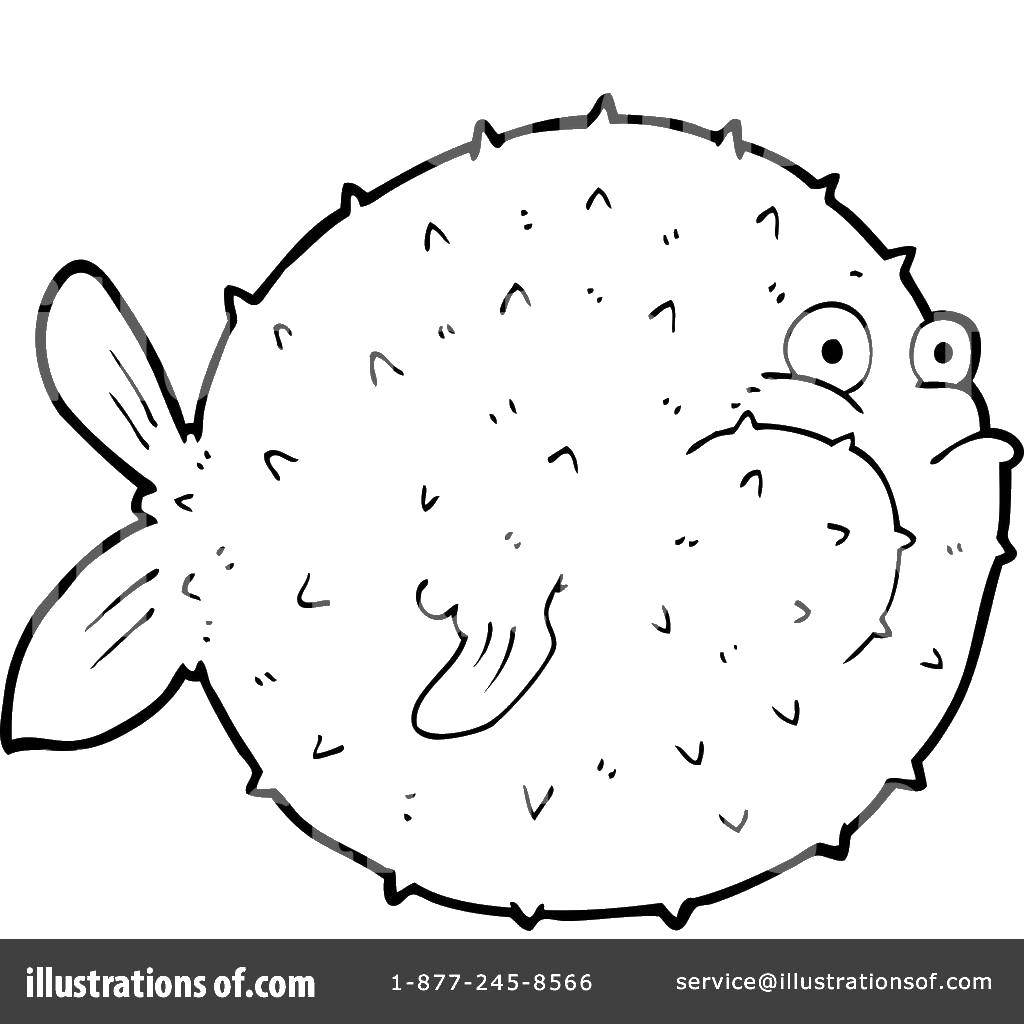 Название: Раскраска Пухлая рыба ёж. Категория: раскраски. Теги: Подводный мир, рыба.