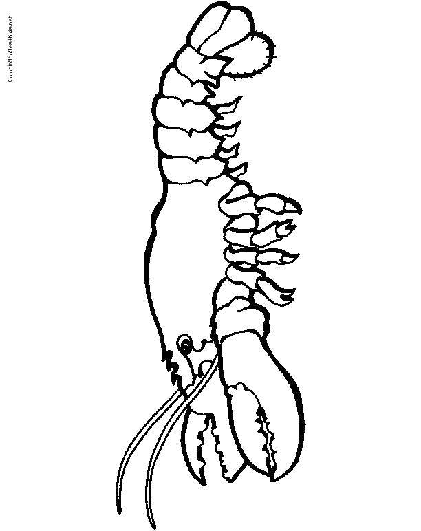 Coloring Cancer. Category coloring. Tags:  marine life, crabs, lobsters, crayfish.