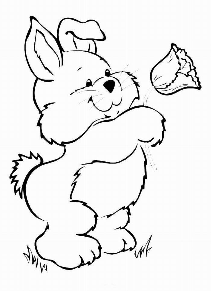 Название: Раскраска Рисунок заяц с цветком. Категория: домашние животные. Теги: заяц, кролик.