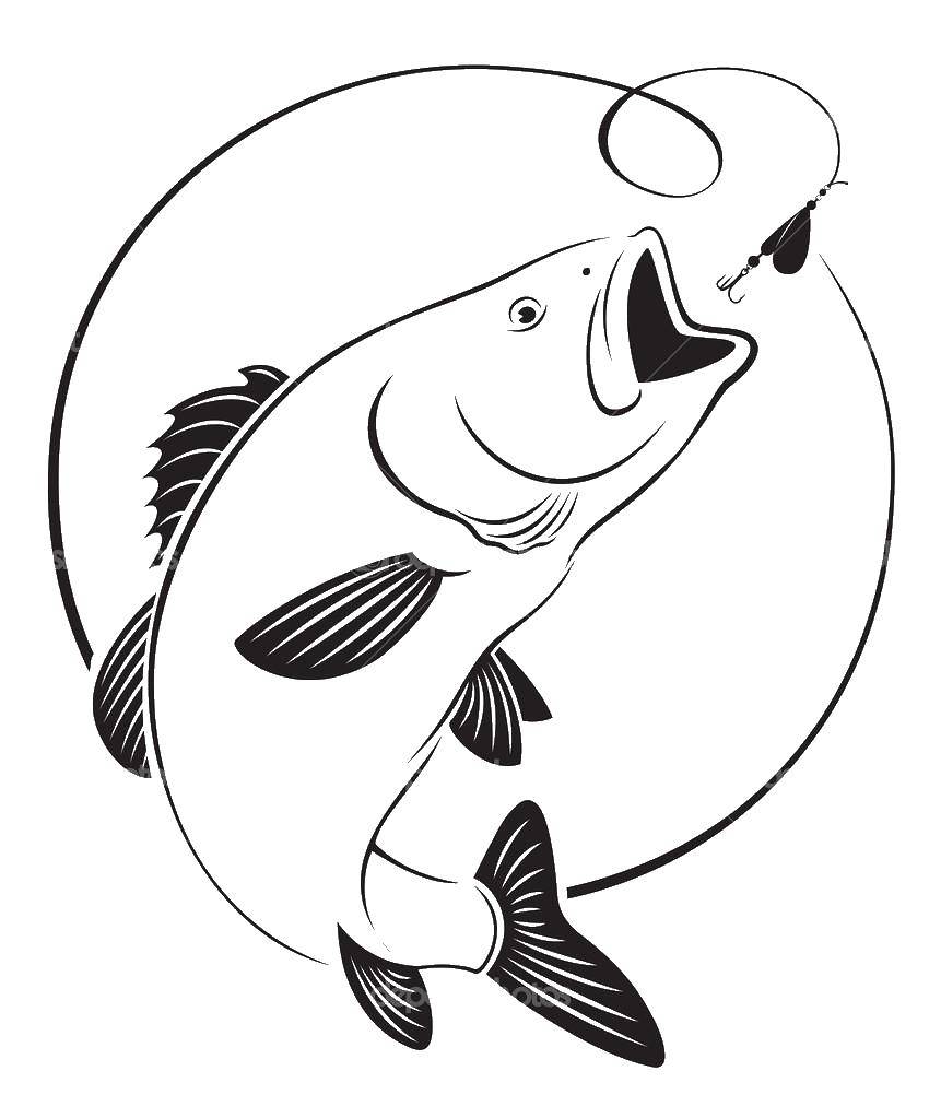 Название: Раскраска Рыба и крючок. Категория: рыбы. Теги: рыбы, рыбка, крючок.