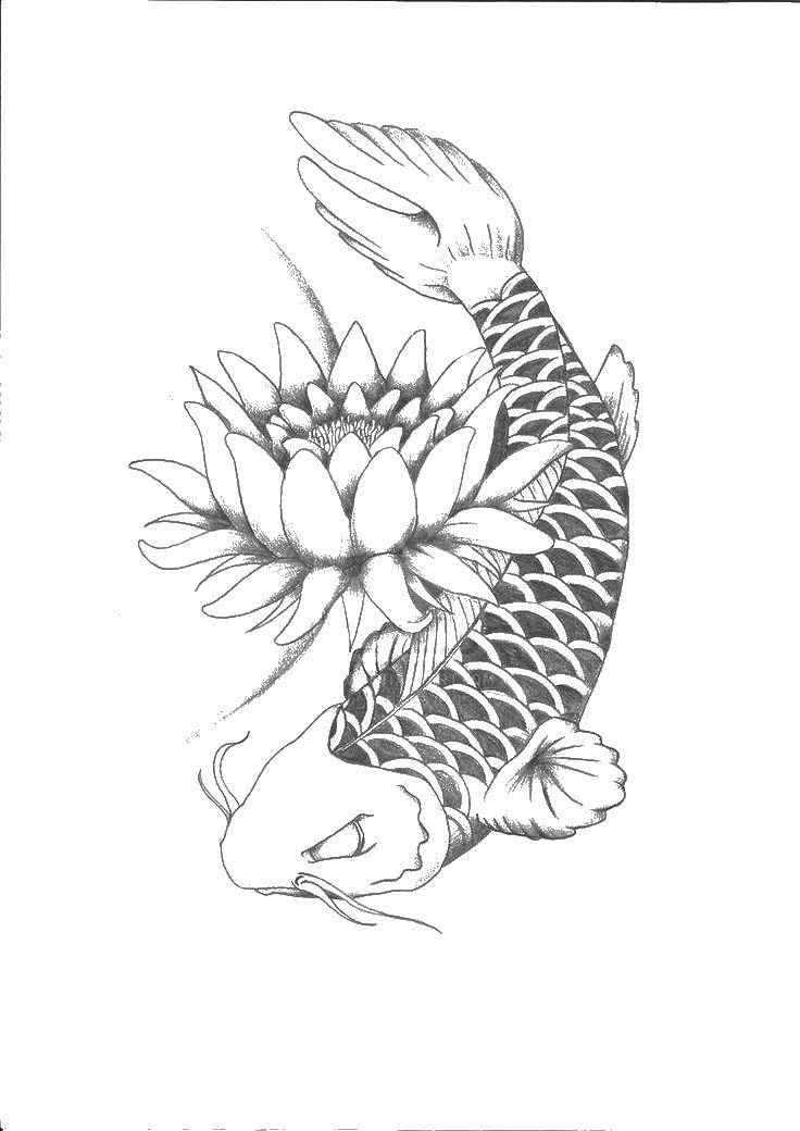 Coloring Fish and Lotus. Category coloring. Tags:  carp, Lotus, fish.