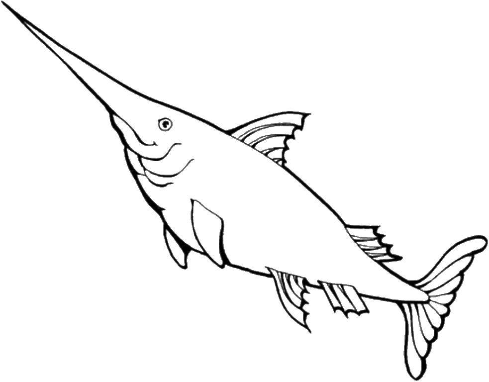 Название: Раскраска Рыба меч плавает. Категория: раскраски. Теги: Подводный мир, рыба.