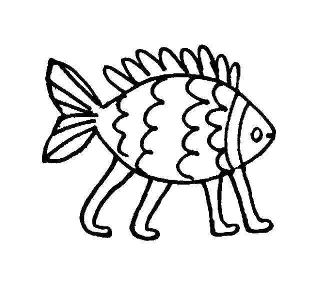 Название: Раскраска Рыба на ногах. Категория: рыбы. Теги: Подводный мир, рыба.