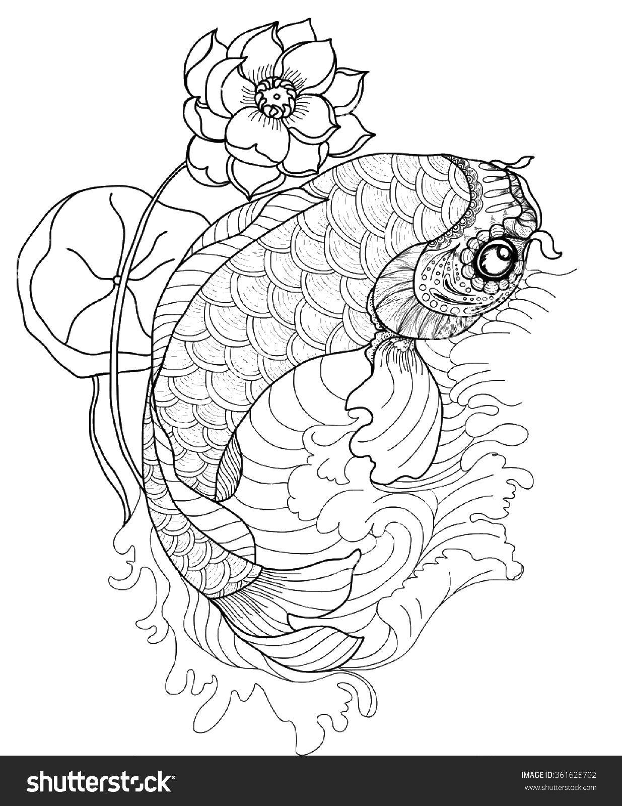 Название: Раскраска Рыбка и цветок. Категория: рыбы. Теги: рыбы, цветы, узоры.