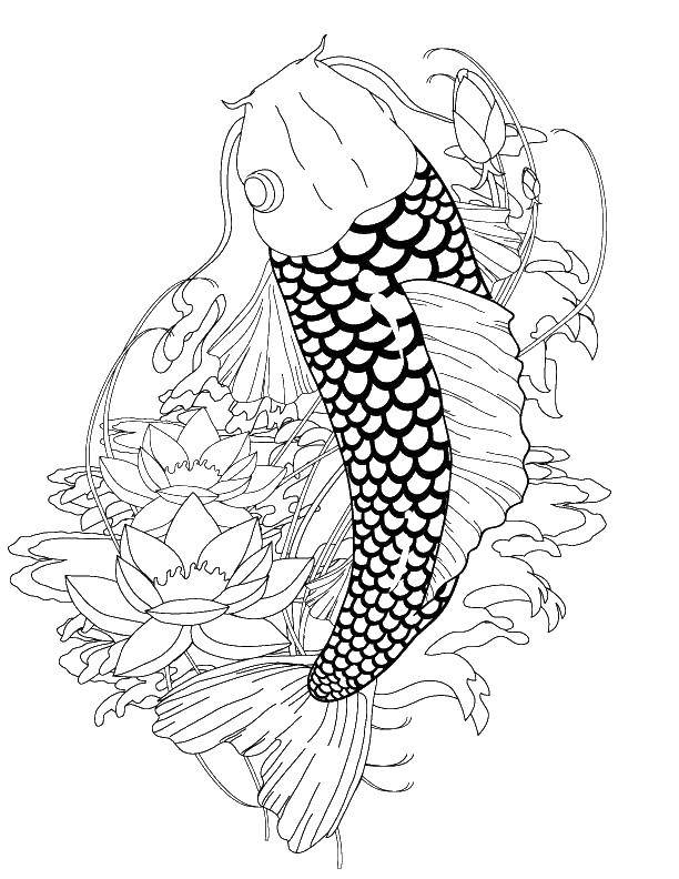 Название: Раскраска Рыбка и цветы. Категория: рыбы. Теги: рыбы, рыба, цветы.