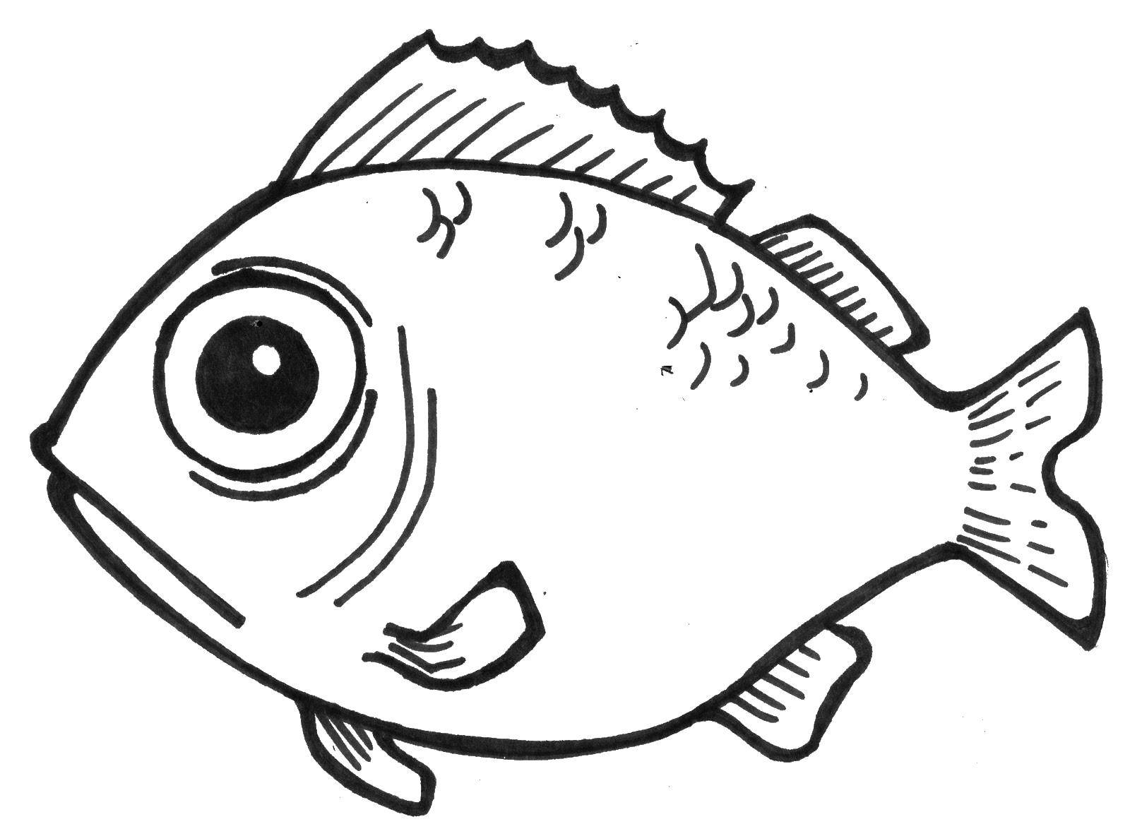 Название: Раскраска Рыбка с большими глазами. Категория: рыбы. Теги: рыбы, глаза, рыбка.
