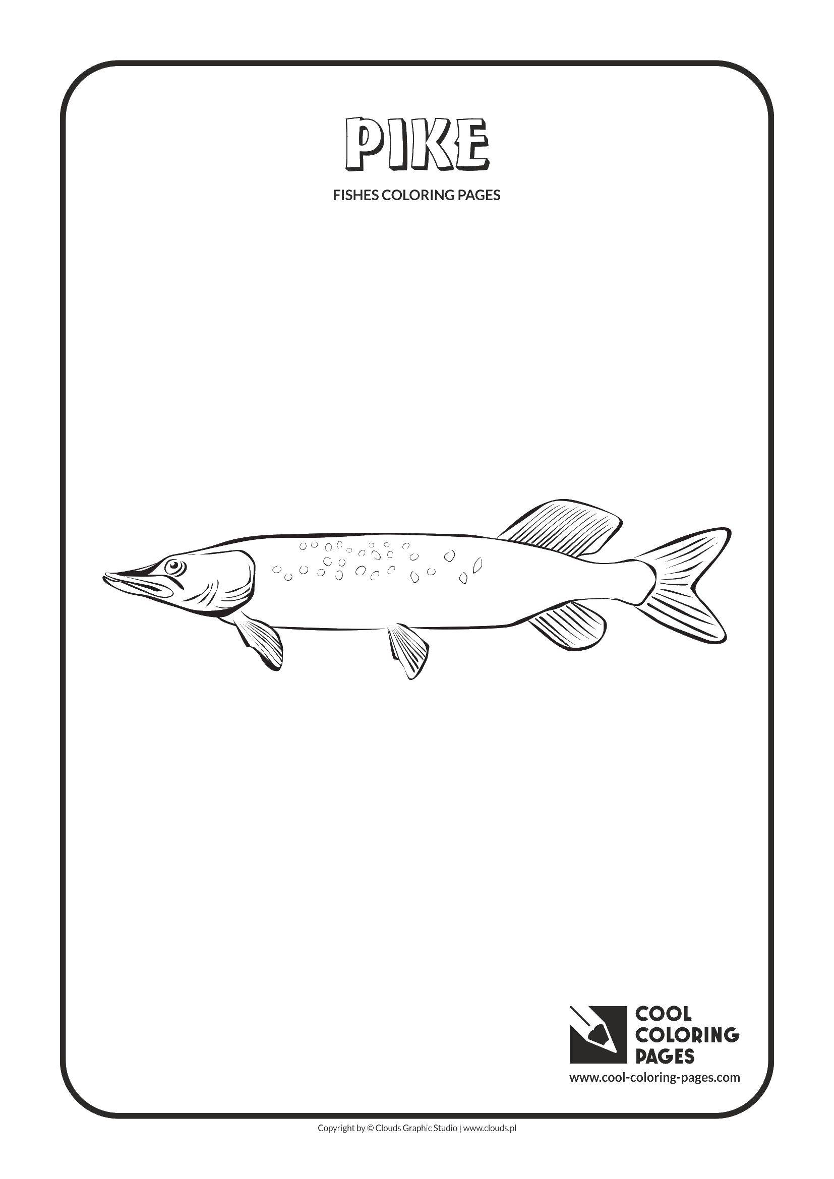 Coloring Pike. Category pike. Tags:  fish, pike, fish.