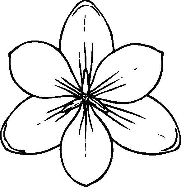 Coloring Flower. Category flowers. Tags:  flowers.