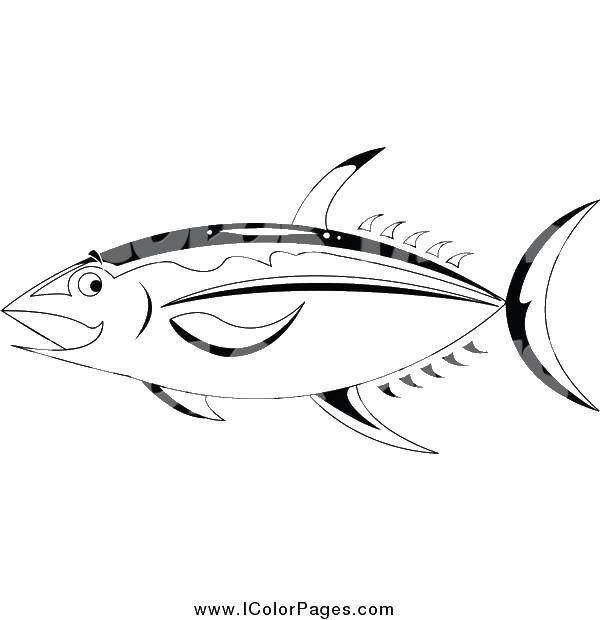 Название: Раскраска Тунец. Категория: раскраски. Теги: рыбы, тунец.