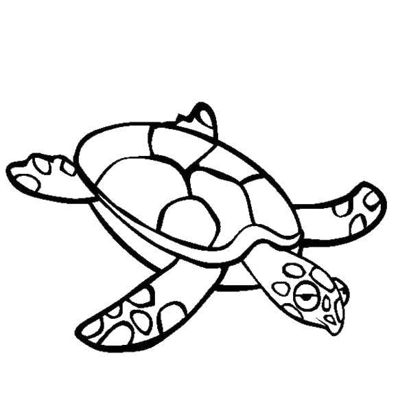 Название: Раскраска Уставшая черепашка. Категория: Морская черепаха. Теги: Рептилия, черепаха.