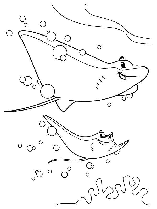 Название: Раскраска Веселые скаты. Категория: морское. Теги: Подводный мир.