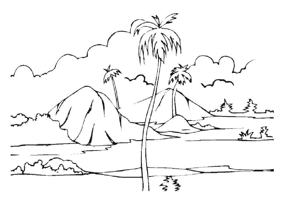 Розмальовки  Довга пальма. Завантажити розмальовку Дерева, пальма.  Роздрукувати ,дерево,