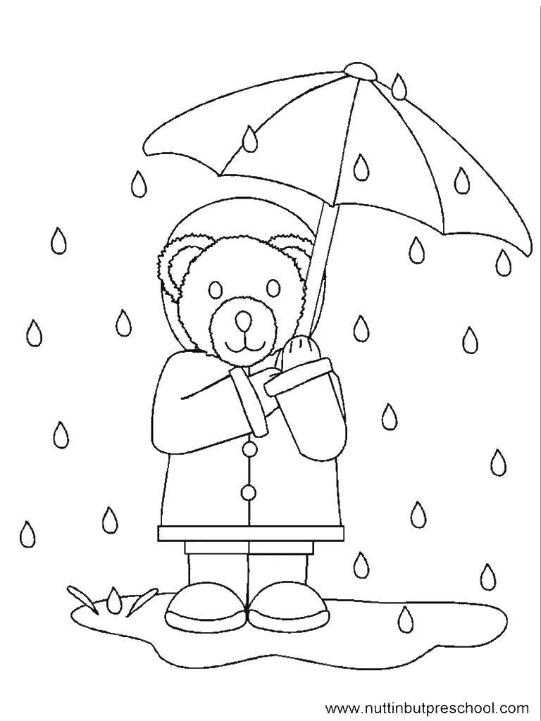 Розмальовки  Мишко під парасолькою. Завантажити розмальовку Дощ, парасолька, осінь.  Роздрукувати ,Дощ,