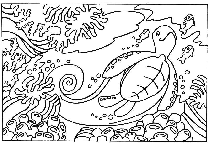 Опис: розмальовки  Підводний світ, черепаха. Категорія: Морська черепаха. Теги:  Рептилія, черепаха.
