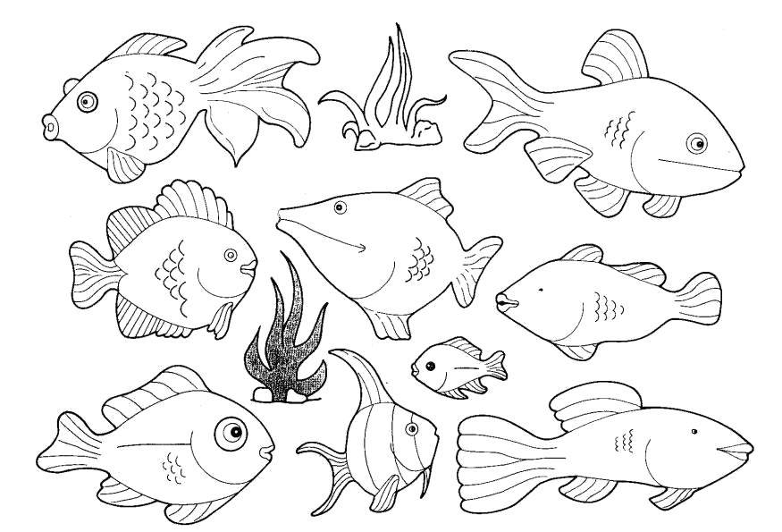 Розмальовки  Рибки, підводний світ. Завантажити розмальовку Підводний світ, риба.  Роздрукувати ,Морські тварини,
