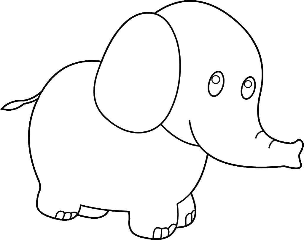 Розмальовки  Слоник. Завантажити розмальовку Тварини, слоненя, слон.  Роздрукувати ,Розмальовки для малюків,