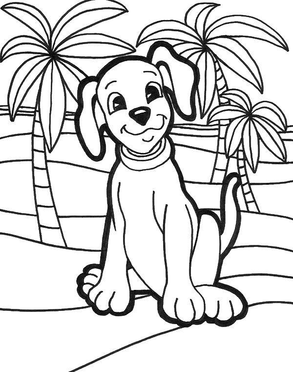 Розмальовки  Собачка на пляжі. Завантажити розмальовку Тварини, собака.  Роздрукувати ,Тварини,