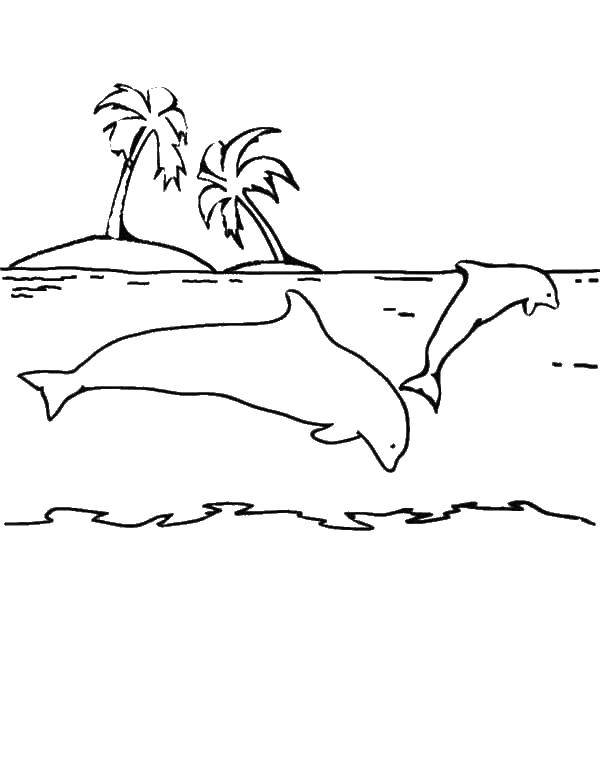 Название: Раскраска Дельфины у острова. Категория: морское. Теги: Подводный мир, дельфин.