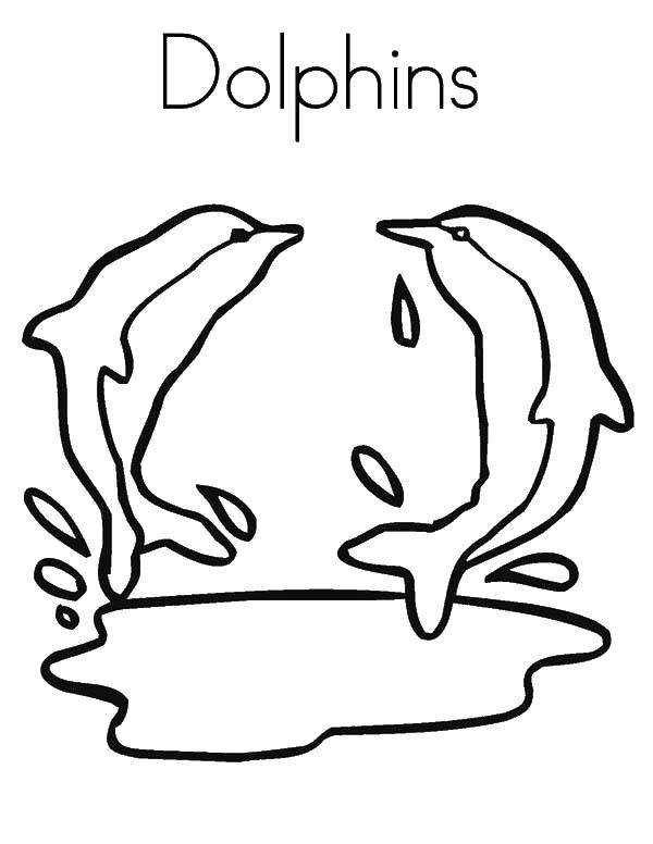 Название: Раскраска Дельфины. Категория: морское. Теги: Подводный мир, дельфин, игры.