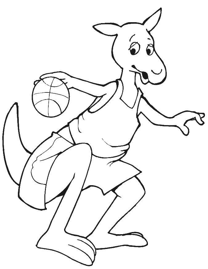 Coloring Kangaroo playing basketball. Category sports. Tags:  Sports, basketball, ball, game, kangaroo.