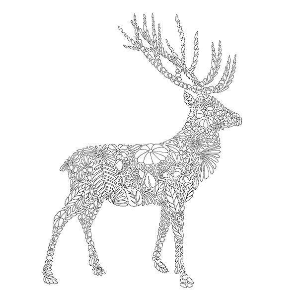 Coloring Deer floral patterns. Category patterns. Tags:  Pattern, animals, flowers, deer.