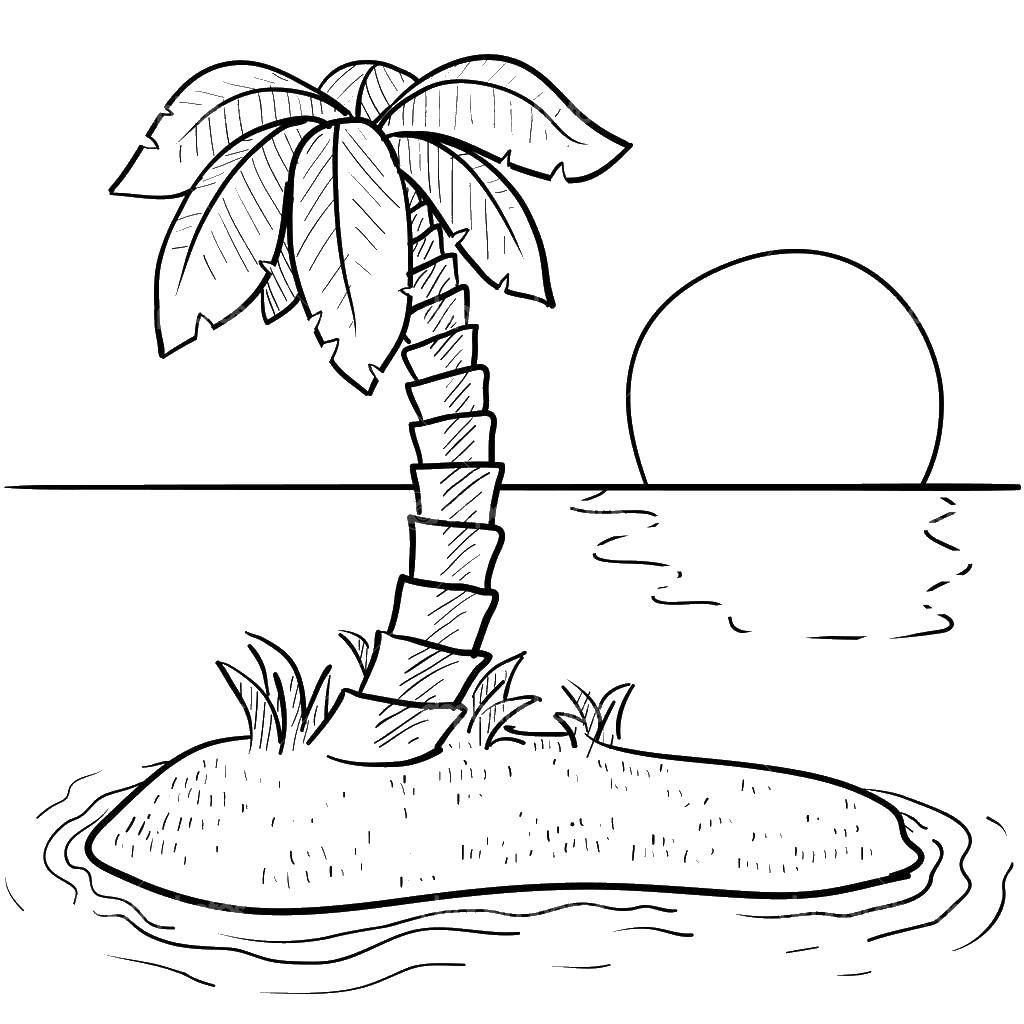 Название: Раскраска Островок с пальмой. Категория: остров. Теги: Деревья, пальма.
