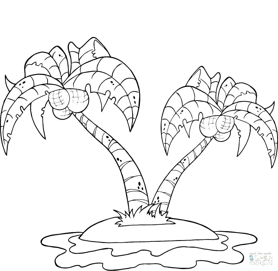 Coloring Palmochki. Category tree. Tags:  Trees, palm tree.
