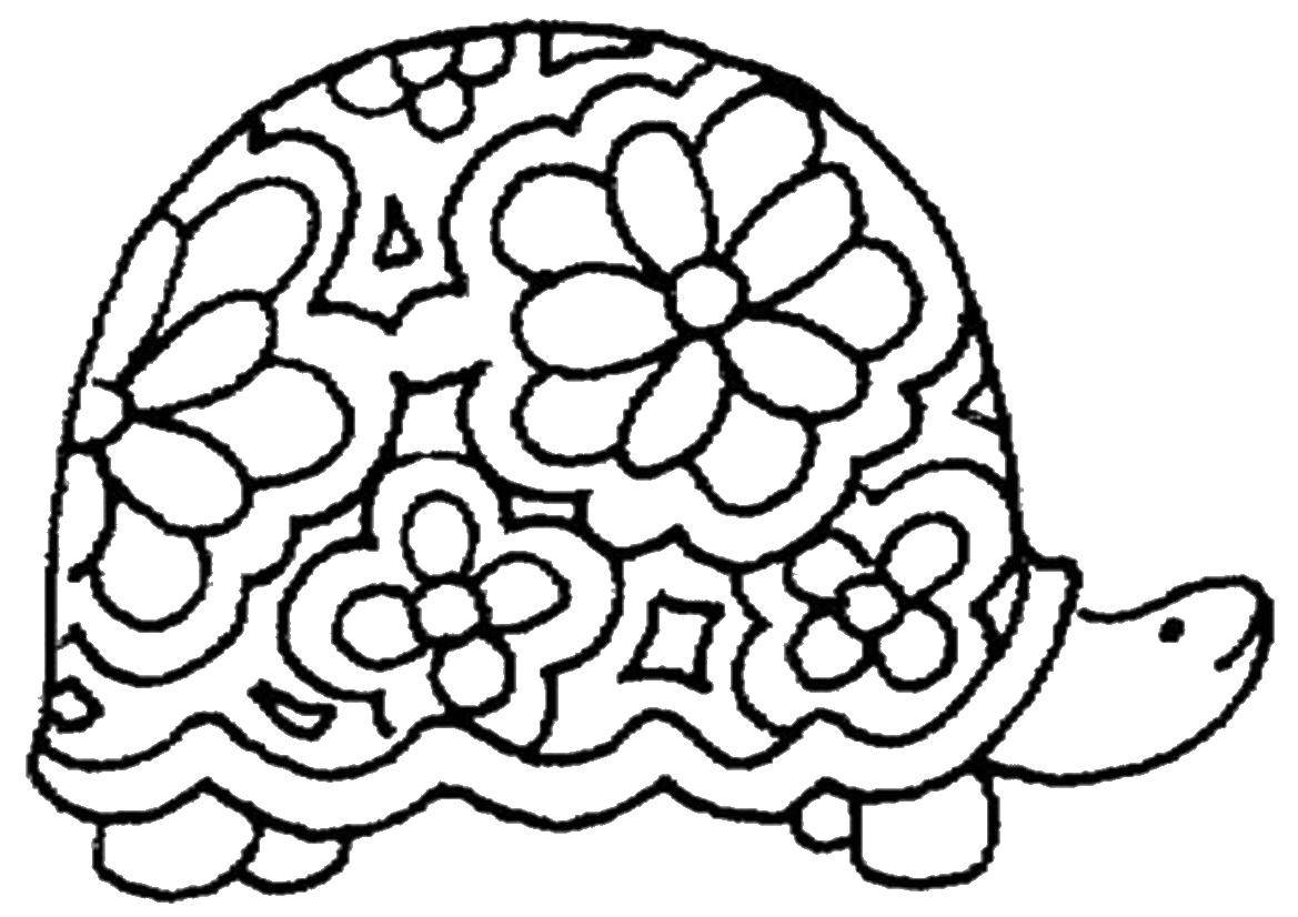 Название: Раскраска Панцирь в цветах. Категория: Морская черепаха. Теги: Рептилия, черепаха.