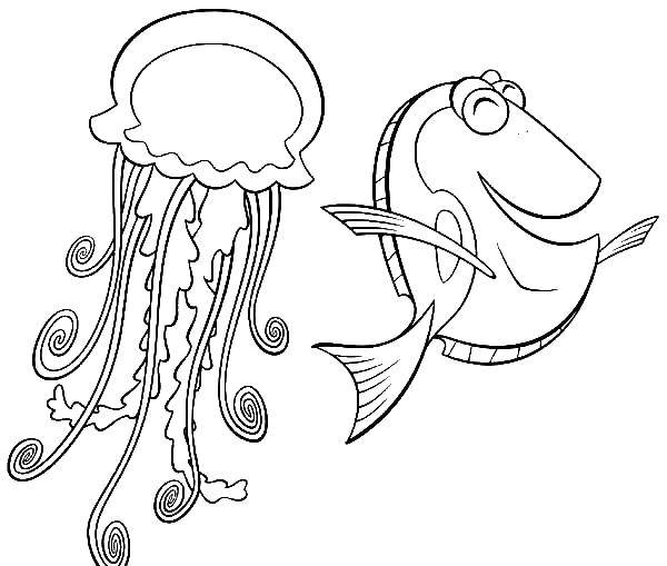 Название: Раскраска Рыбка, медуза. Категория: морское. Теги: Подводный мир, медуза.