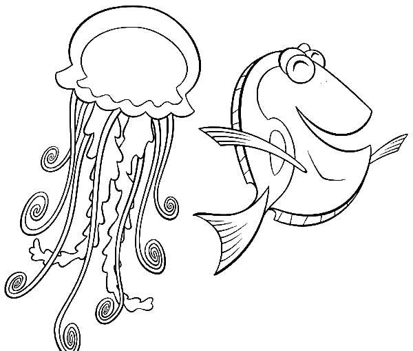 Coloring Fish, jellyfish. Category marine. Tags:  Underwater world, jellyfish.