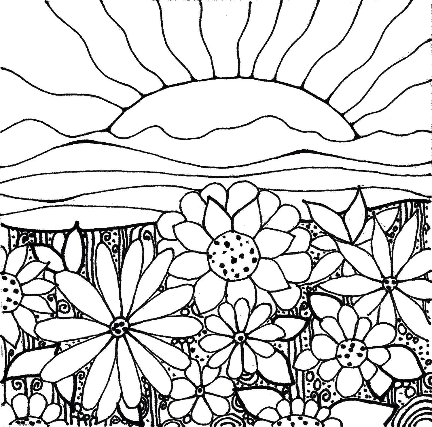 Coloring Sunrise over flowers. Category coloring. Tags:  Sun, rays, joy.
