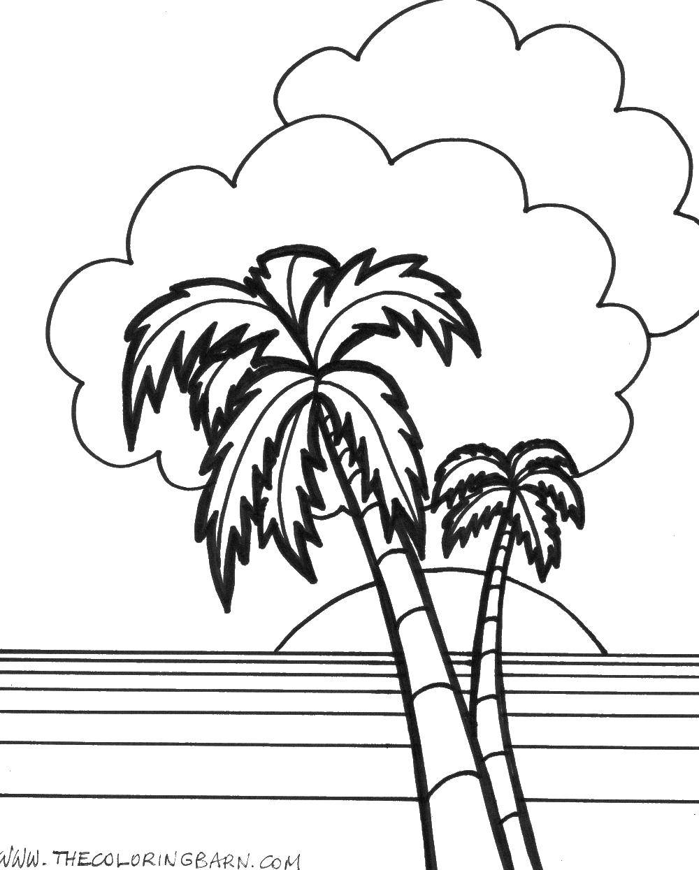 Coloring Sunset, palm trees. Category coloring. Tags:  Sun, rays, joy.