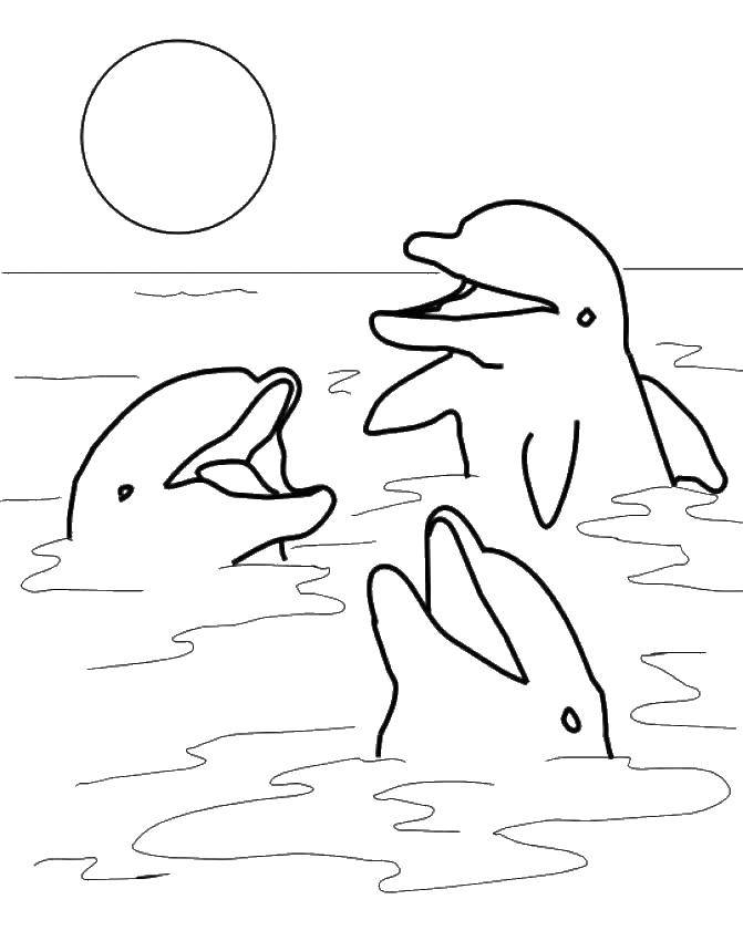 Розмальовки  Дельфіни стирчать з води. Завантажити розмальовку Підводний світ, дельфін.  Роздрукувати ,розмальовки,