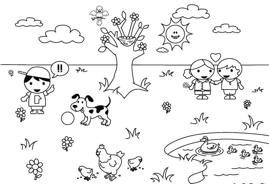 Розмальовки  Діти в саду. Завантажити розмальовку діти, сад, тварини.  Роздрукувати ,діти,