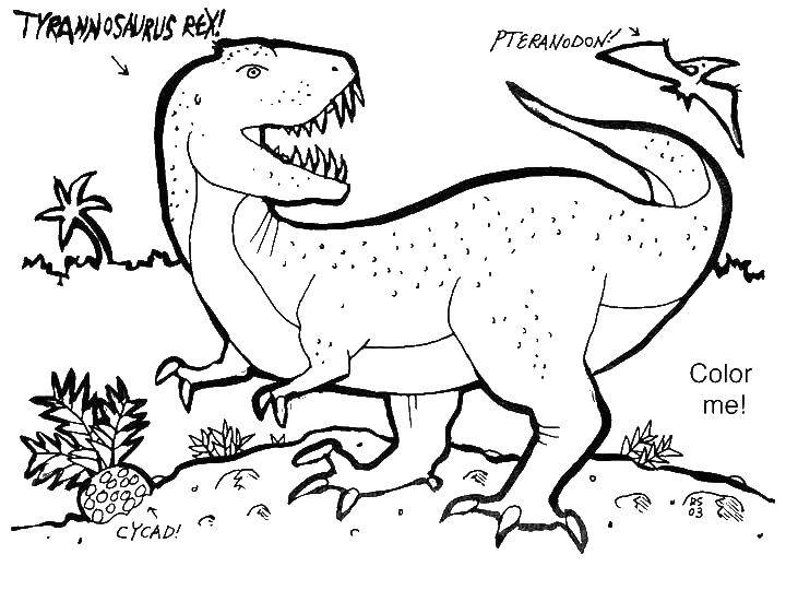 Розмальовки  Динозаври англійською. Завантажити розмальовку Англійська, динозаври.  Роздрукувати ,Англійська,