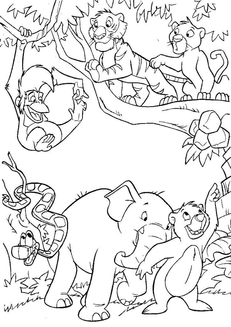 Опис: розмальовки  Друзі з джунглів. Категорія: розмальовки. Теги:  Джунглі.