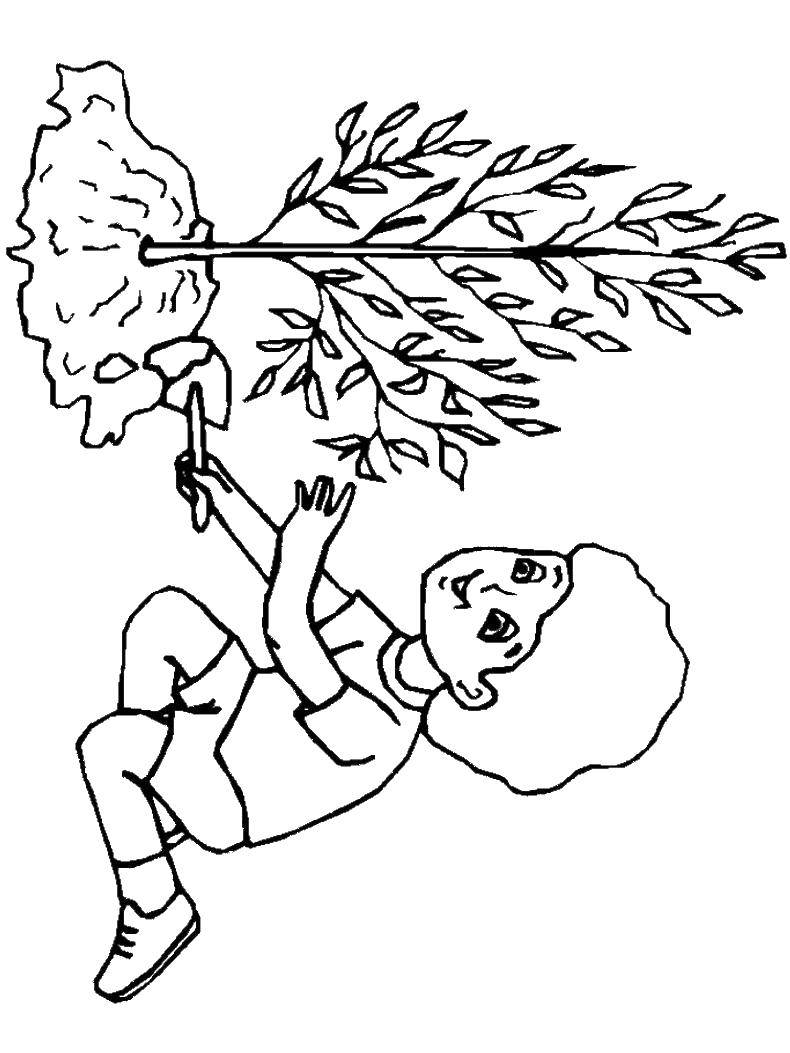 Розмальовки  Садимо дерева. Завантажити розмальовку Дерева, лист.  Роздрукувати ,дерево,