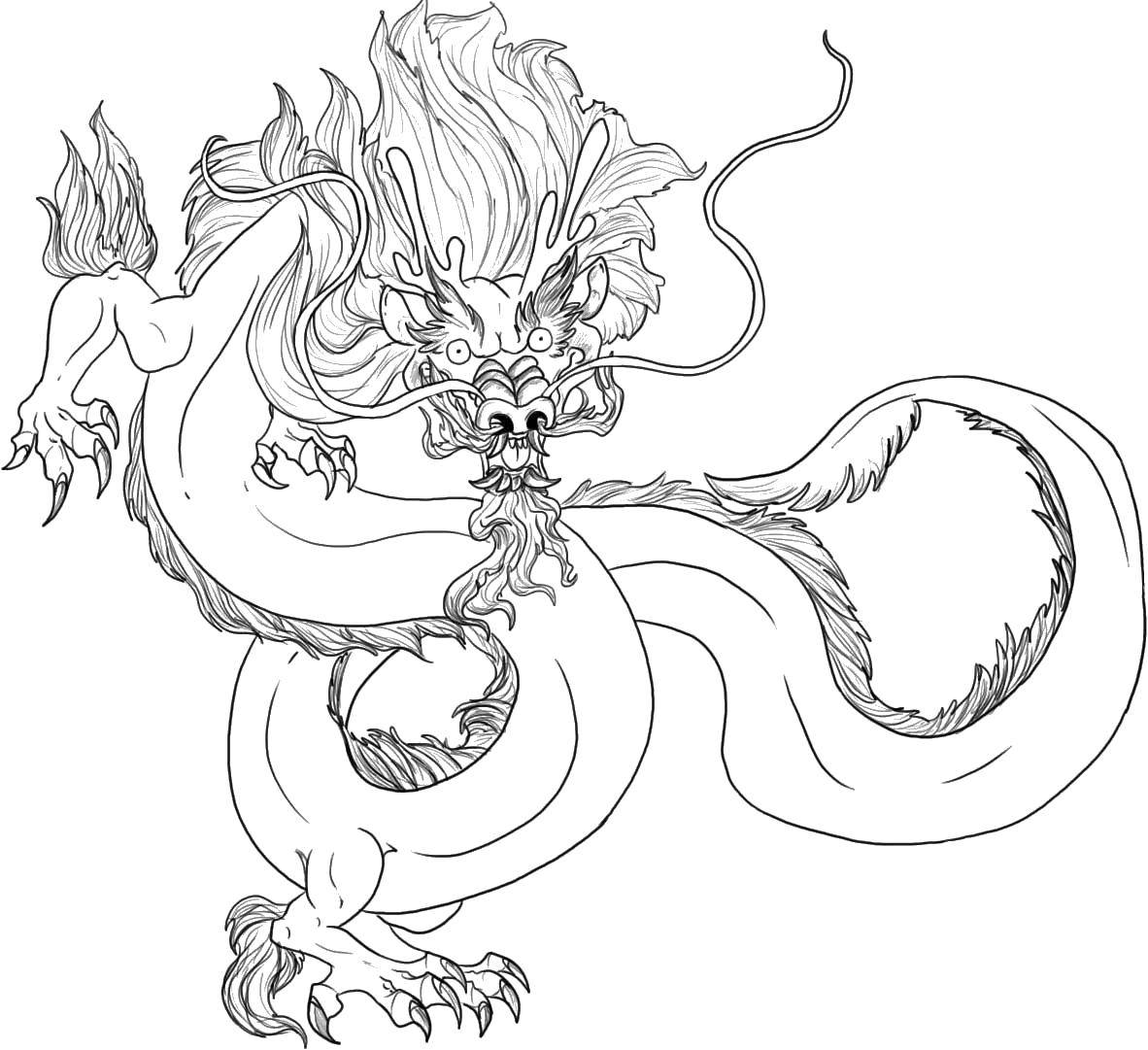 Розмальовки  Шикарний китайський дракон. Завантажити розмальовку Китай.  Роздрукувати ,Китай,