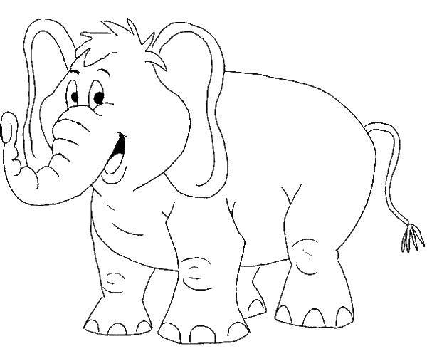Розмальовки  Веселий слоник. Завантажити розмальовку тварини, як слони, слоники.  Роздрукувати ,Тварини,
