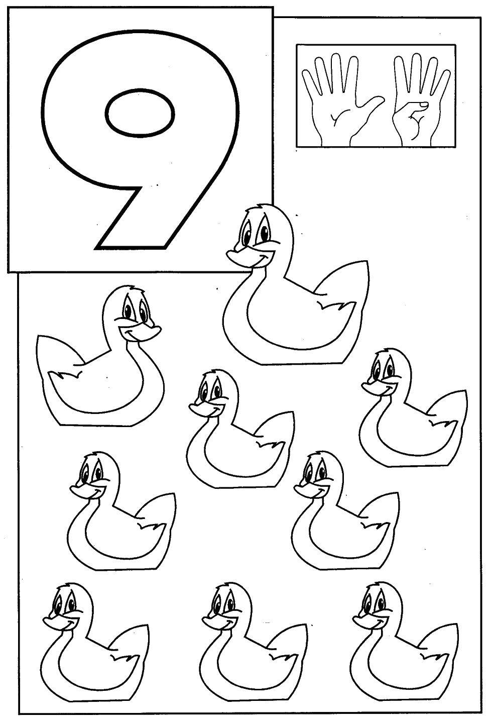 Coloring 9 ducklings. Category Learn to count. Tags:  Numbers , account numbers.