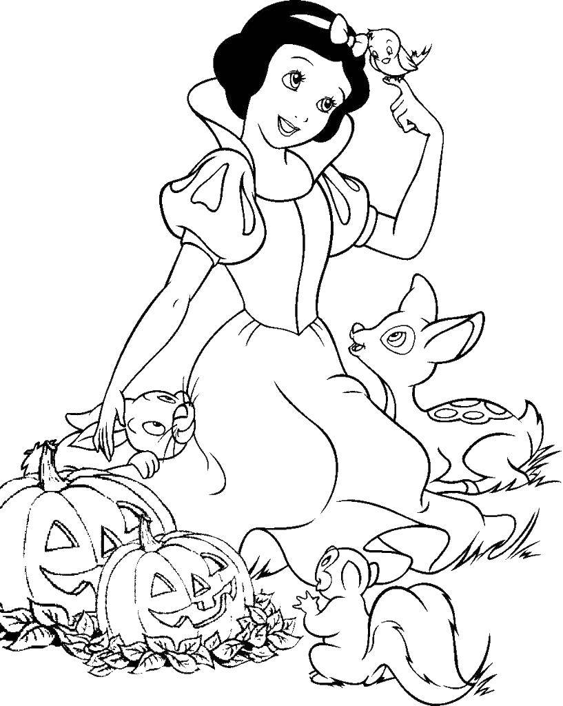 Coloring Snow white with animals. Category snow white. Tags:  Snow white, dwarf.